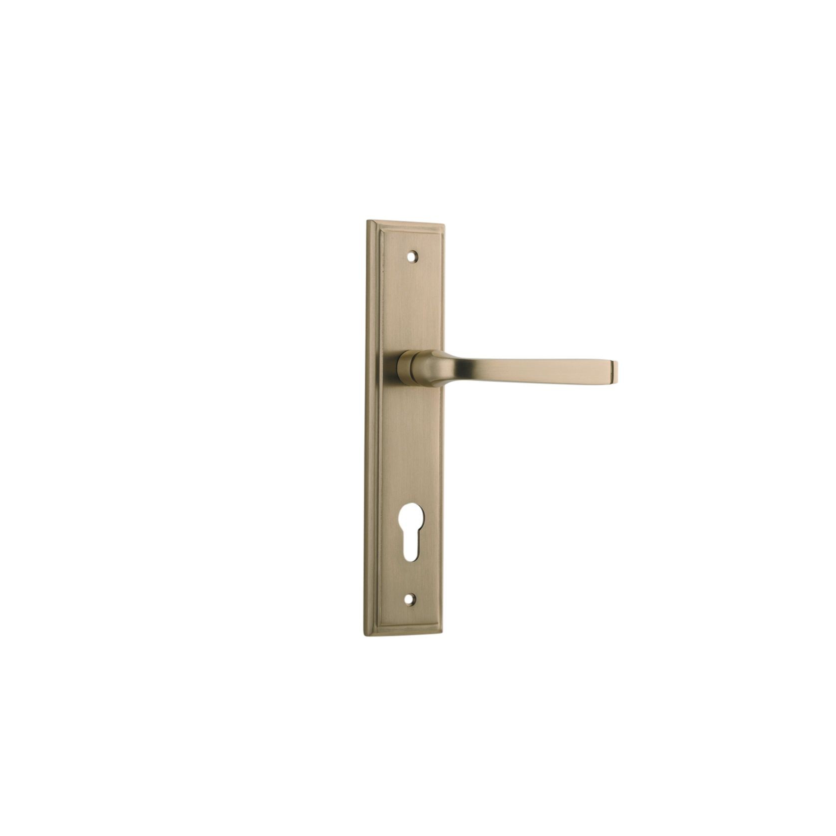 Iver Annecy Door Lever on Stepped Backplate Euro Brushed Brass 15244E85 - Customise to your need gallery detail image