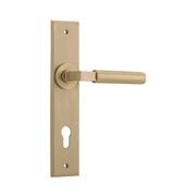 Iver Berlin Door Lever on Chamfered Backplate gallery detail image