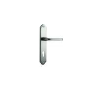 Iver Annecy Door Lever on Shouldered Backplate Satin Nickel - Customise to your needs gallery detail image
