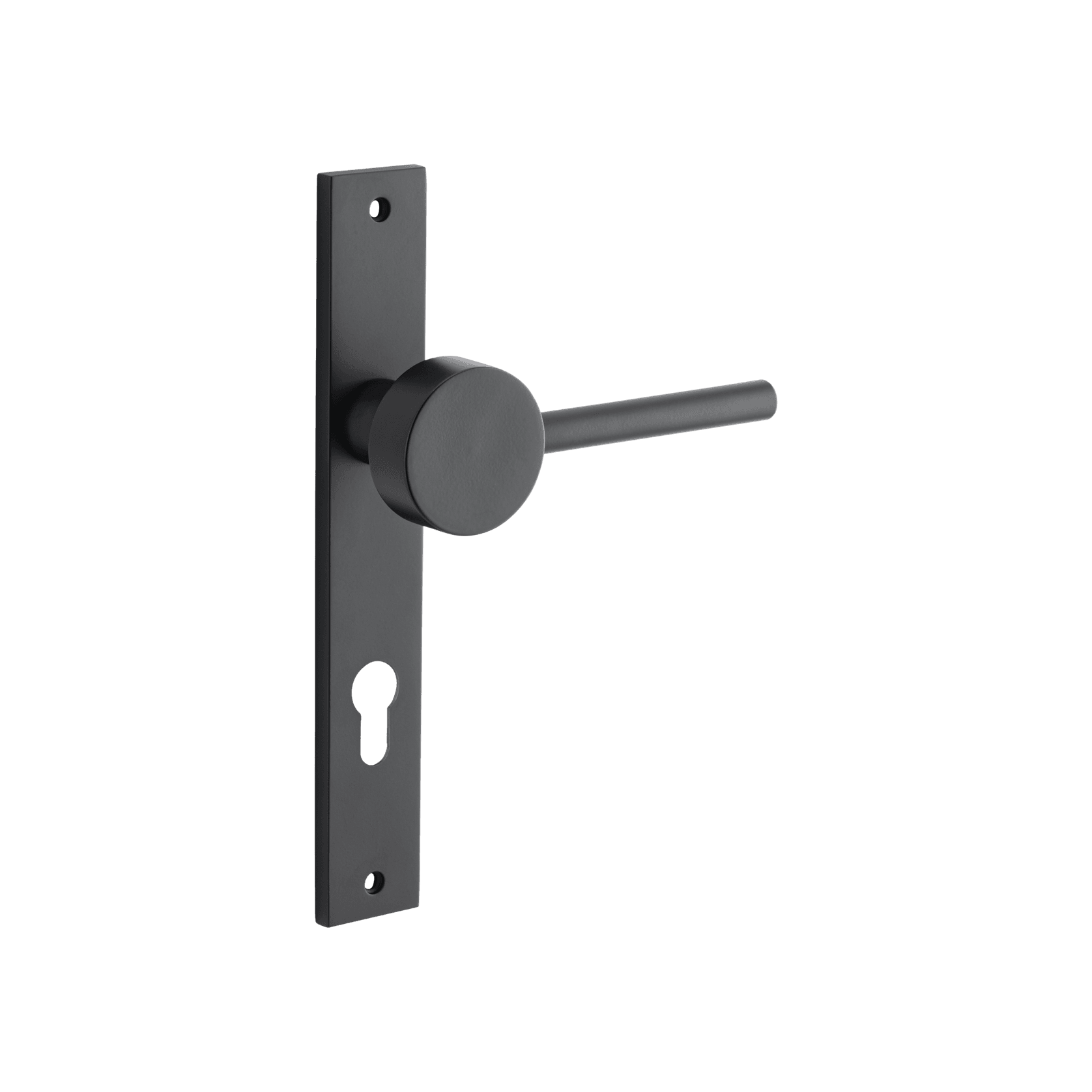 Geppetto Door Lever - Rectangular Backplate gallery detail image