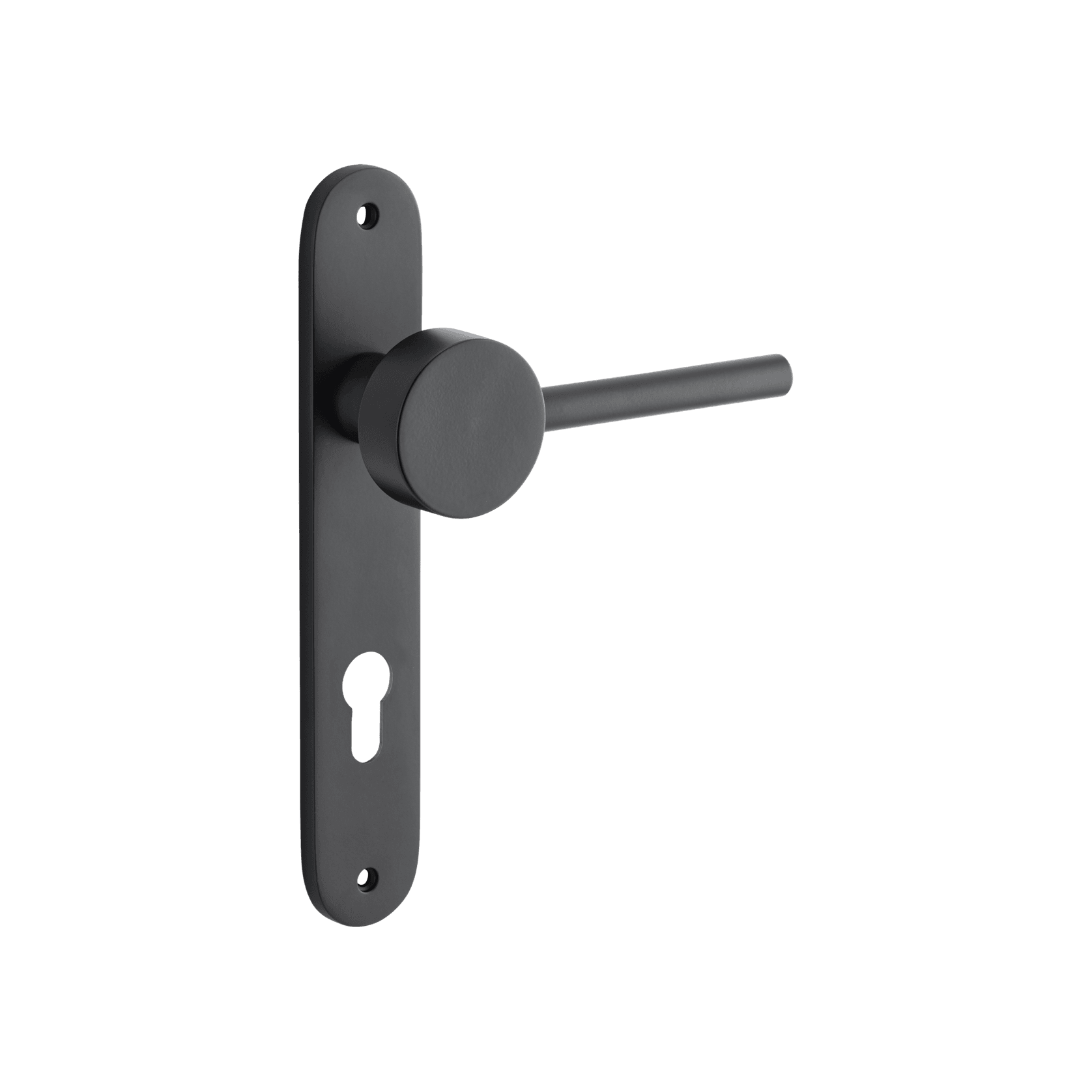 Geppetto Door Lever - Oval Backplate gallery detail image