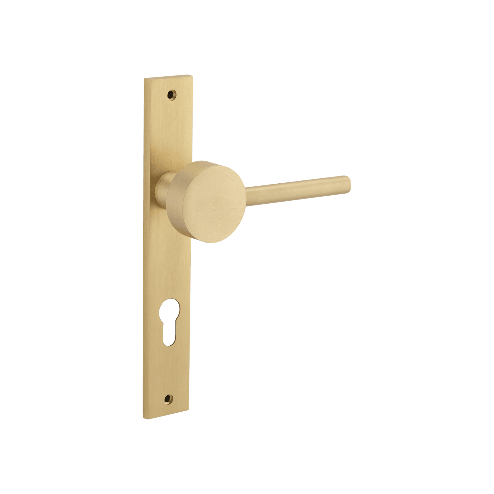 Geppetto Door Lever - Rectangular Backplate gallery detail image