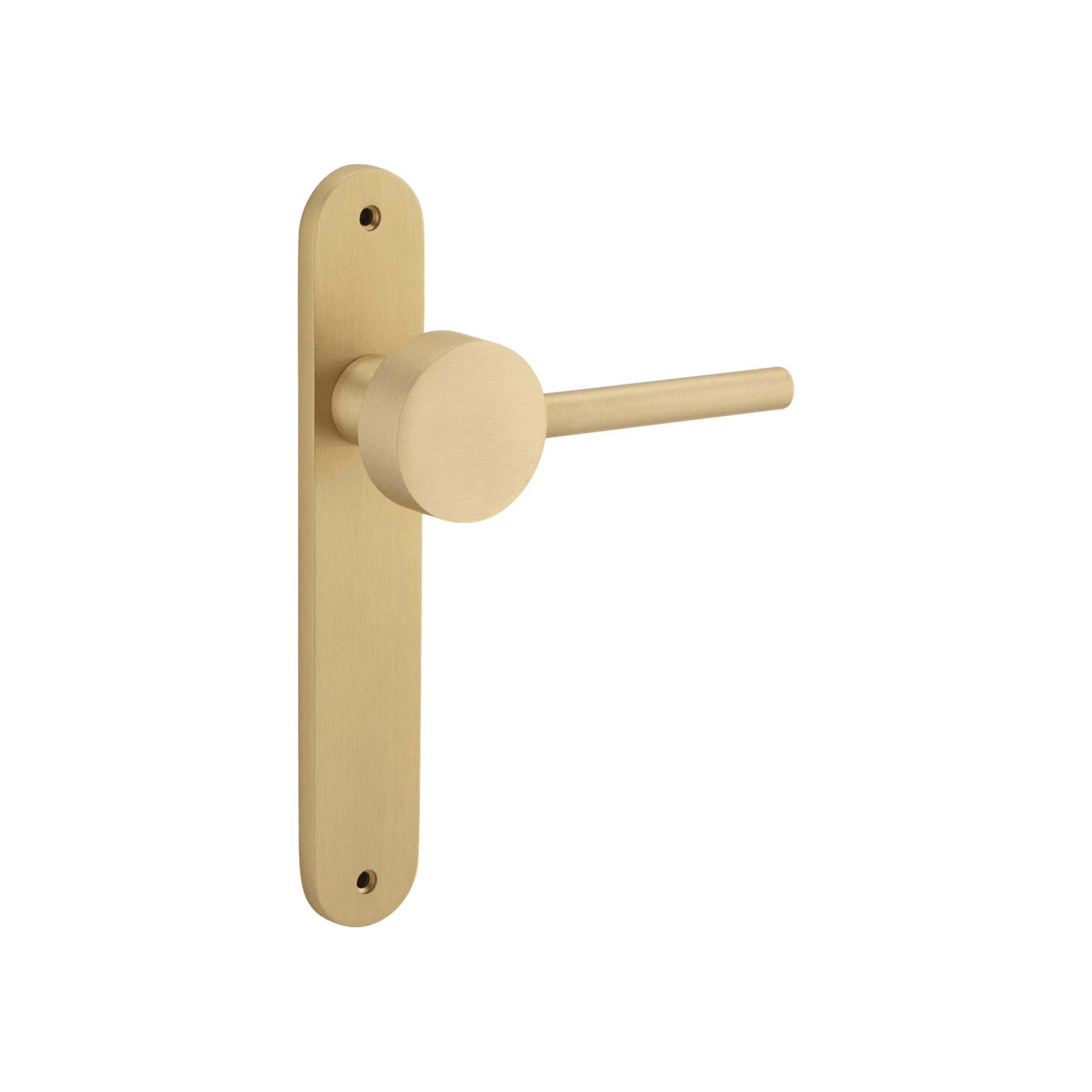 Geppetto Door Lever - Oval Backplate gallery detail image