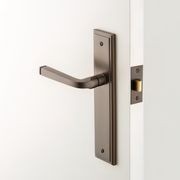 Iver Annecy Door Lever on Stepped Backplate Satin Nickel - Customise to your needs gallery detail image