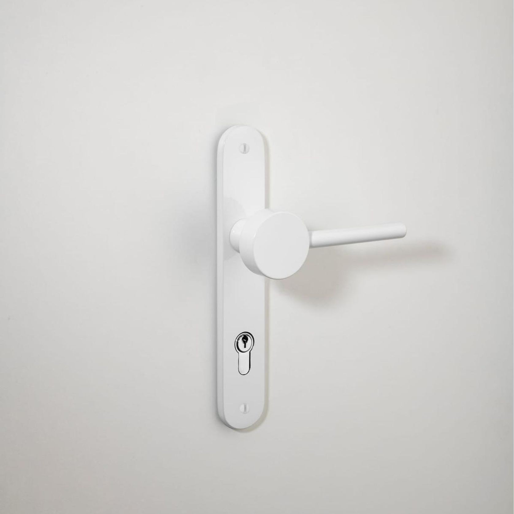 Geppetto Door Lever - Oval Backplate gallery detail image