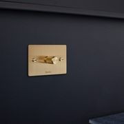 1G Dimmer | Buster + Punch gallery detail image