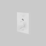 2G Toggle + Dimmer | Vertical | Cross gallery detail image