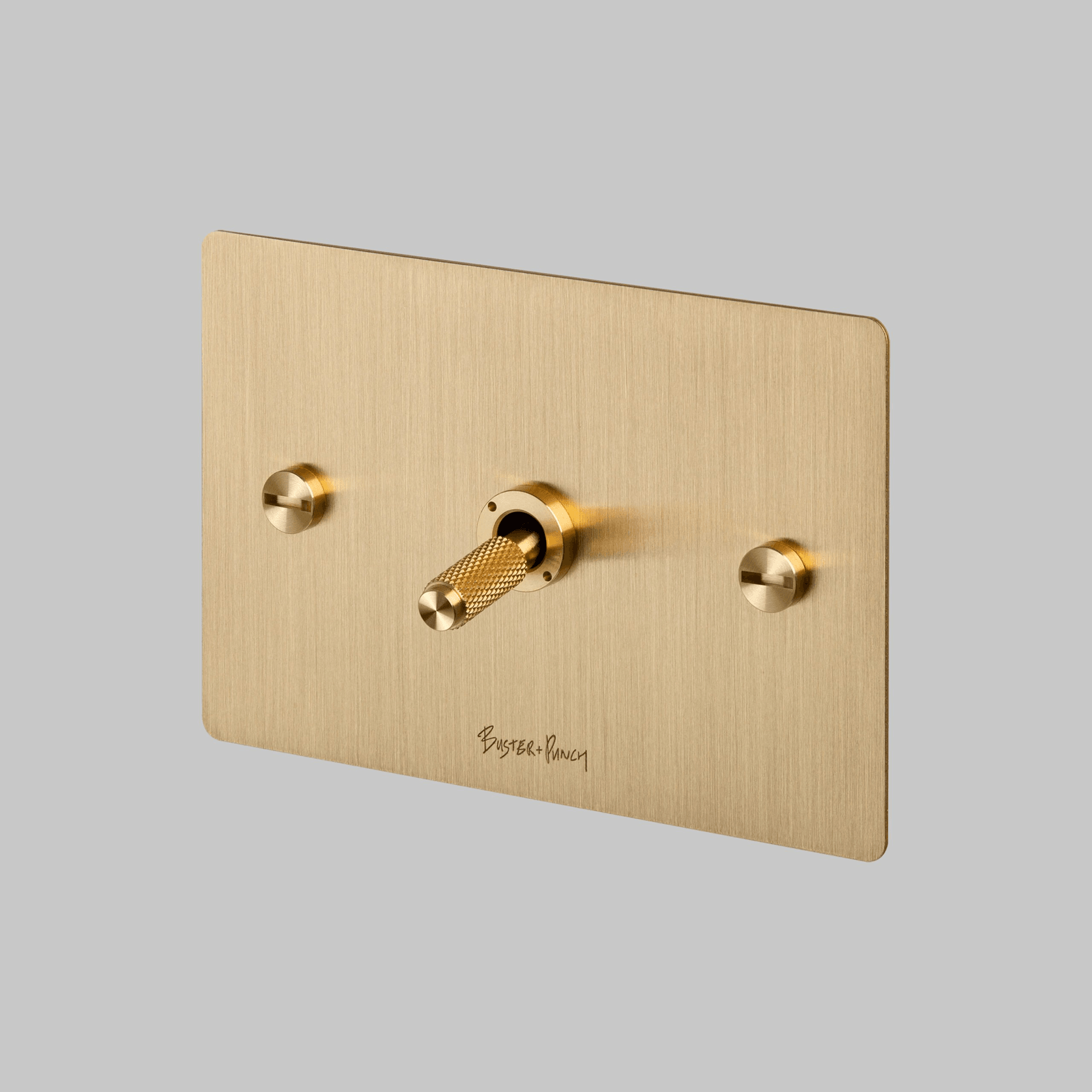 1G Toggle Switch | Buster + Punch gallery detail image