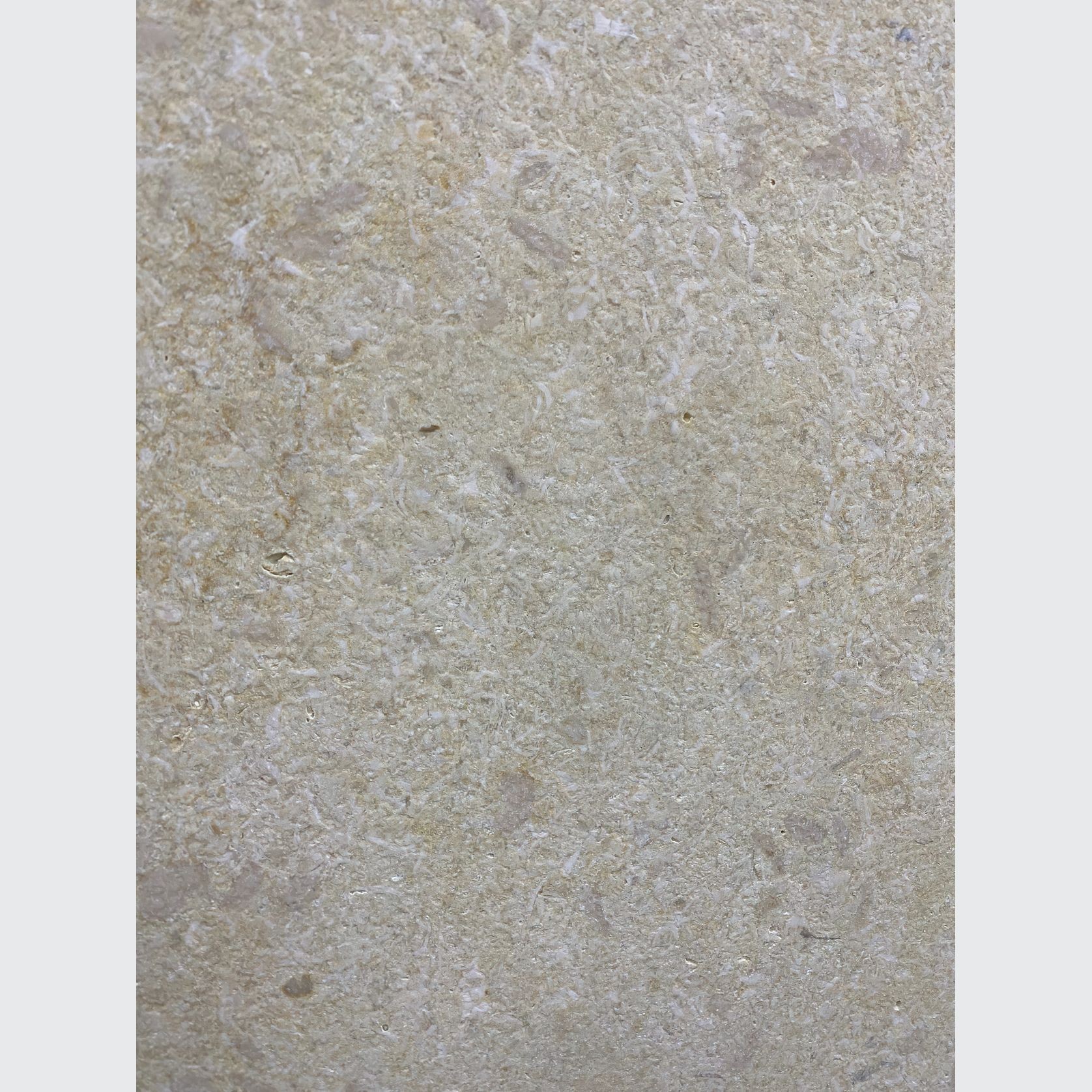 Crema Novelda Limestone gallery detail image