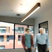 Truss BT159 Linear LED Timber Light gallery detail image