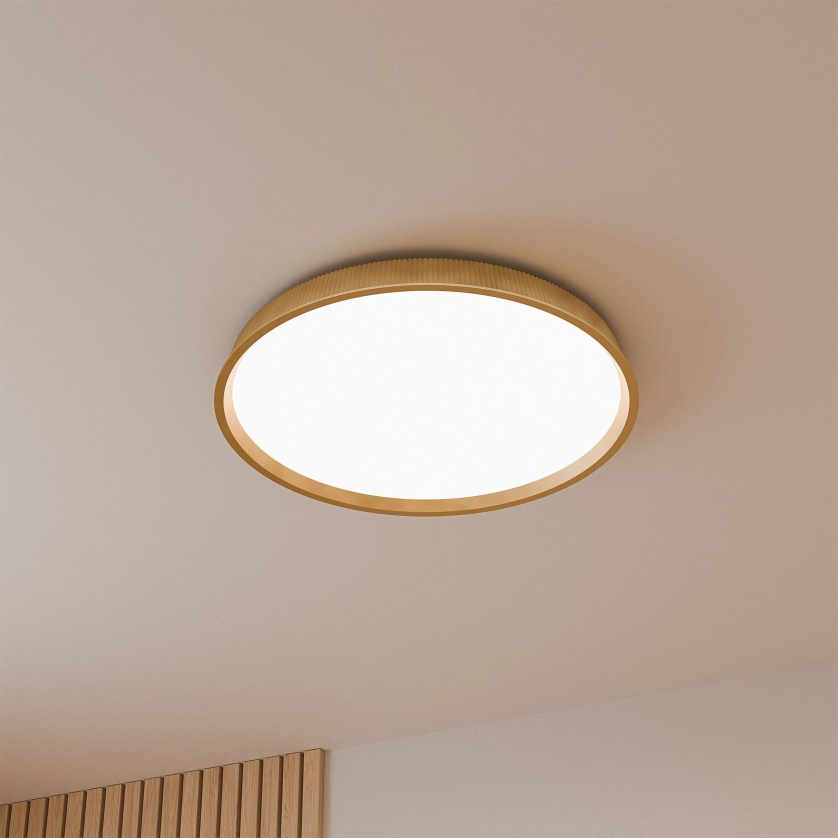 Kinglet Ribbed Ceiling Light gallery detail image