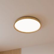 Kinglet Ribbed Ceiling Light gallery detail image