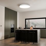 Kinglet Ribbed Ceiling Light gallery detail image