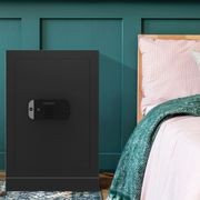 Yale Maximum Security Professional Safe YSEM/520/EG1 gallery detail image