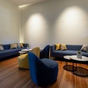 Telopea Tub Chair gallery detail image