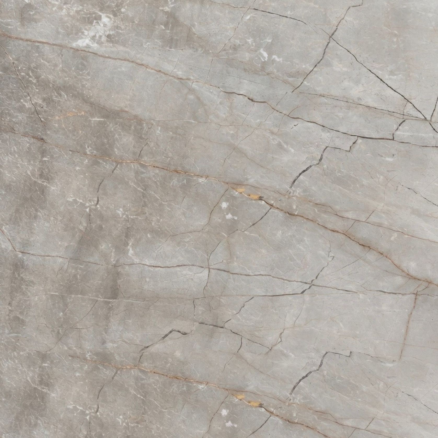 Silver Zenith/Root Marble | Natural Stone gallery detail image