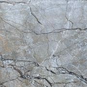 Silver Roots | Marble gallery detail image
