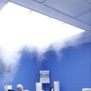 USA - Ultrasuite gallery detail image