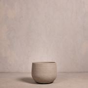 Hibernate NoMud 86 Degrees | Flax gallery detail image