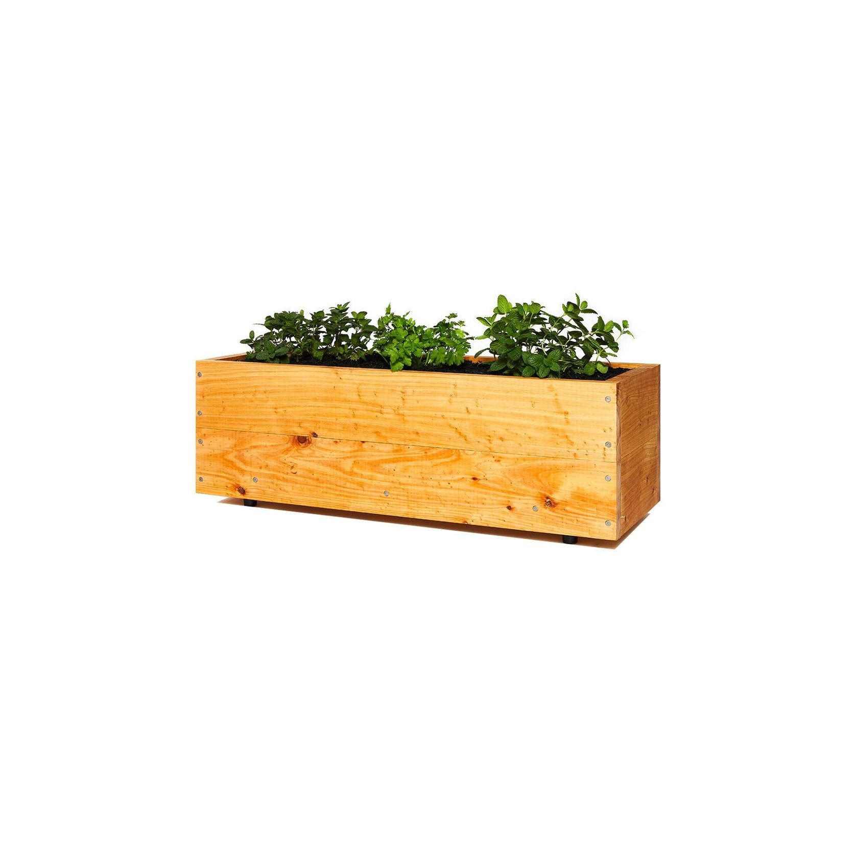 Cypress Herbivores Planter Box gallery detail image