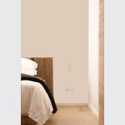 13 Flush Double Outlet gallery detail image