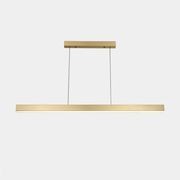 Linear gallery detail image