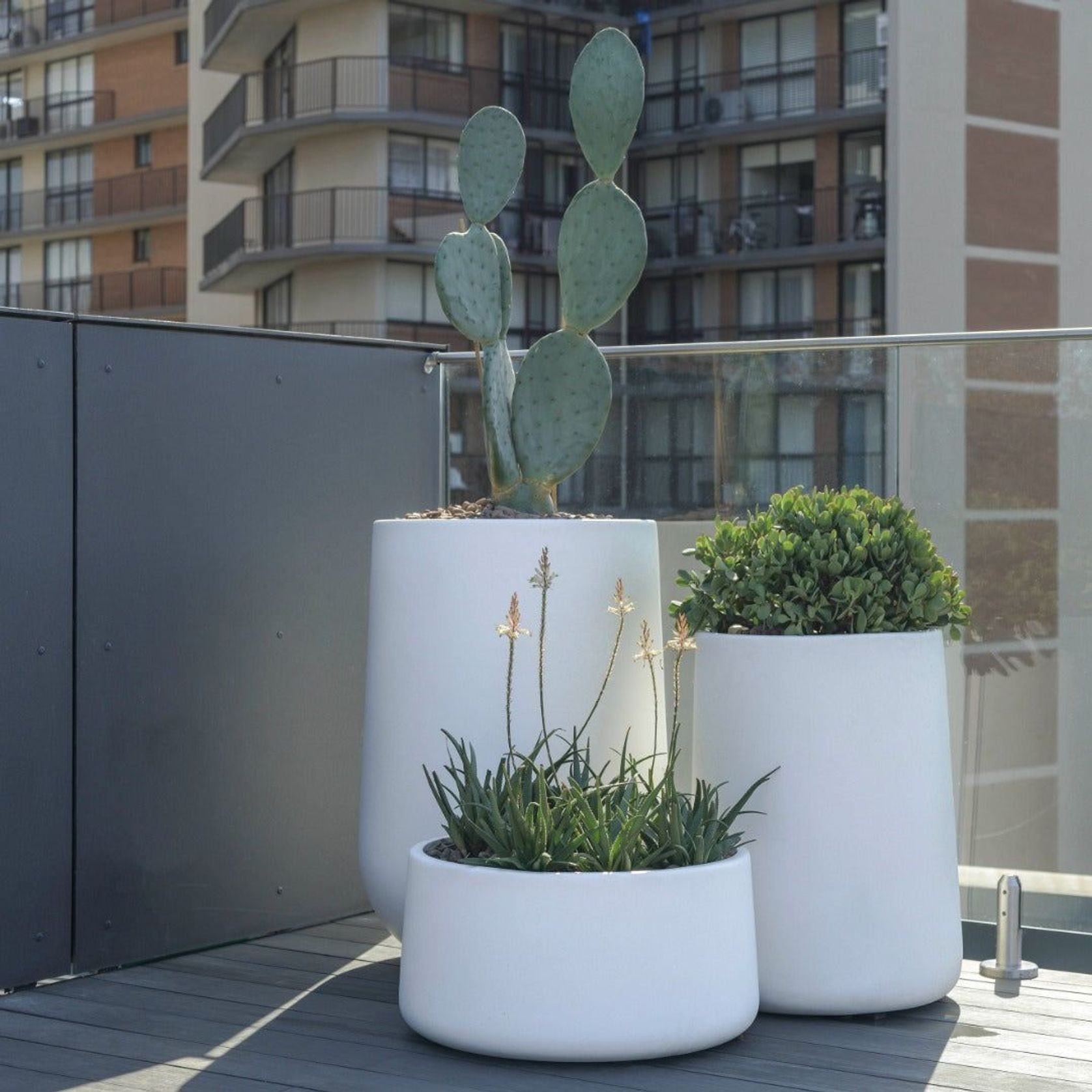 Hibernate Cluster No.1 gallery detail image