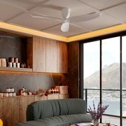 AE3+ Designer Indoor 3-Blade Ceiling Fan gallery detail image
