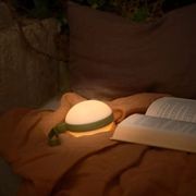 Bring-To-Go gallery detail image