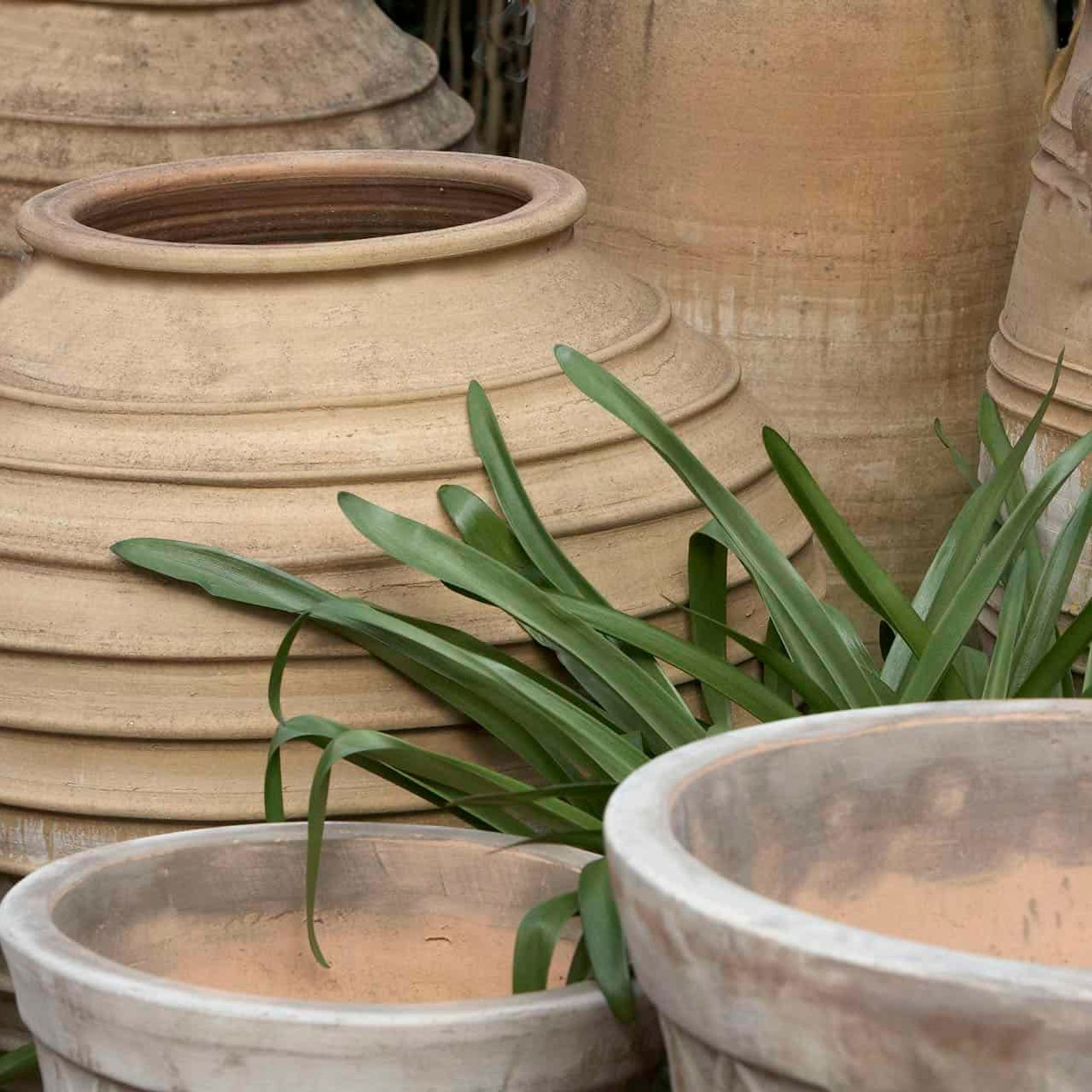 Crete - Roumpaki Planter gallery detail image