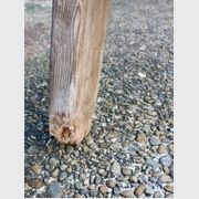 Antique French Fruit Picking Ladder gallery detail image