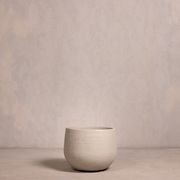 Hibernate NoMud 86 Degrees | Chalk gallery detail image