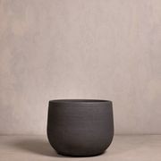 Hibernate NoMud 86 Degrees | Char gallery detail image