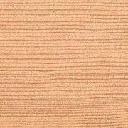 Western Hemlock gallery detail image