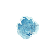 Drop gallery detail image