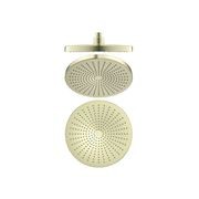 Opal 250mm Shower Head Brushed Gold gallery detail image