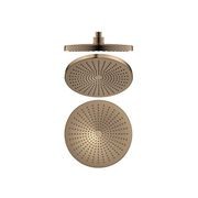 Opal 250mm Shower Head Brushed Bronze gallery detail image