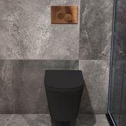 Pure Typhoon Wall Hung Toilet Suite |Brushed Copper Btn gallery detail image