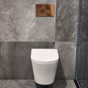 Pure Typhoon Wall Hung Toilet Suite |Brushed Copper Btn gallery detail image