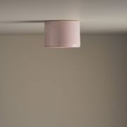 Cylinder Ceiling Light gallery detail image