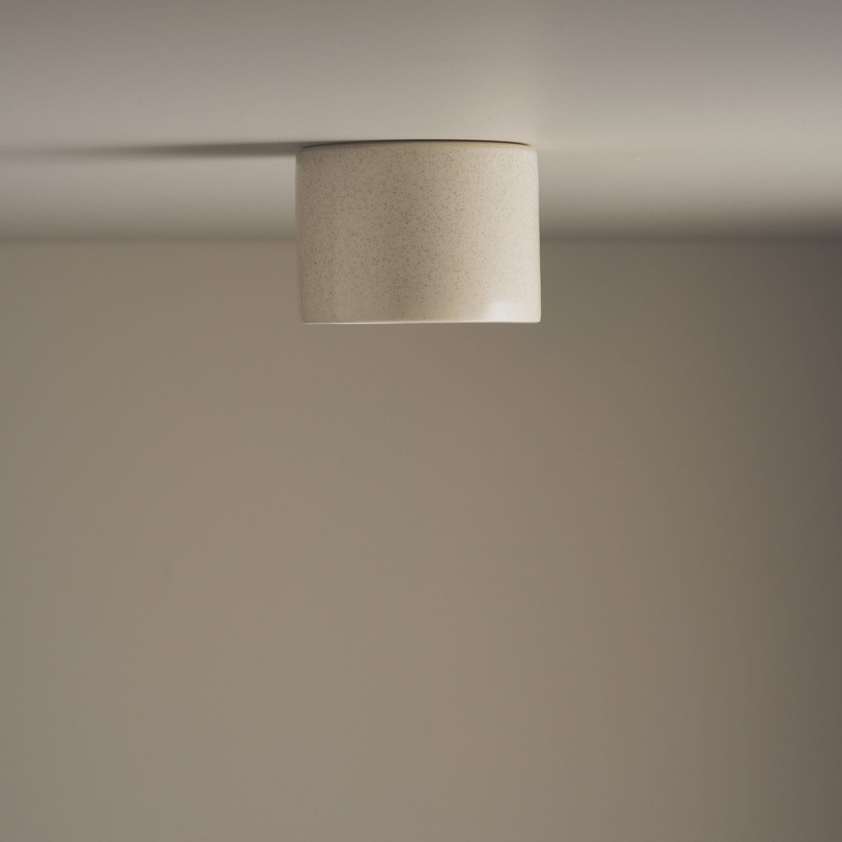 Cylinder Ceiling Light gallery detail image