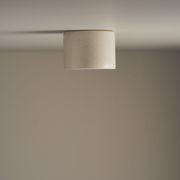 Cylinder Ceiling Light gallery detail image