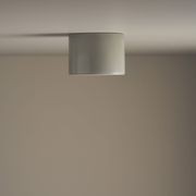 Cylinder Ceiling Light gallery detail image