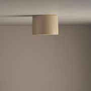 Cylinder Ceiling Light gallery detail image