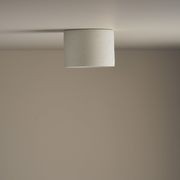 Cylinder Ceiling Light gallery detail image