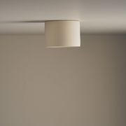 Cylinder Ceiling Light gallery detail image