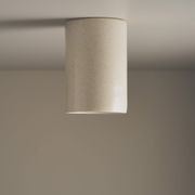 Cylinder Ceiling Light gallery detail image