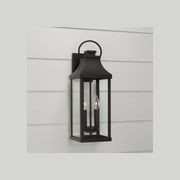 Cole 2 Light Outdoor Wall Lantern - Medium in Black gallery detail image