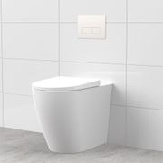 Argent Vista HygienicFlush In-wall Floor Mount Pan gallery detail image
