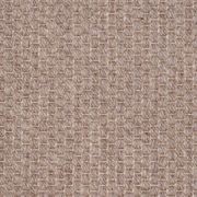 2431 gallery detail image